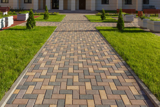 Best Local Driveway Pavers  in China, TX